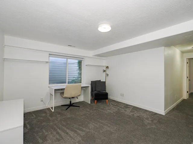 Basement Family Room