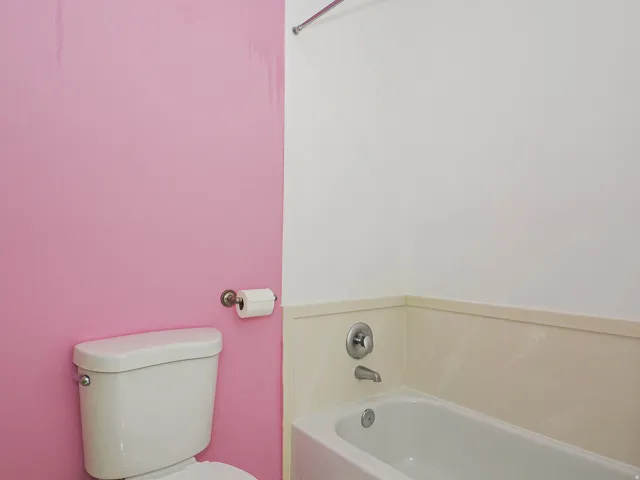Primary Bathroom tub