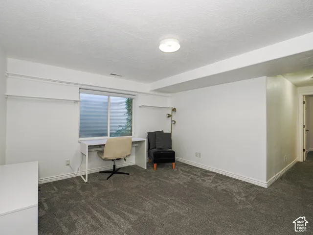 Basement Family Room
