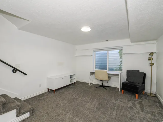 Basement Family Room