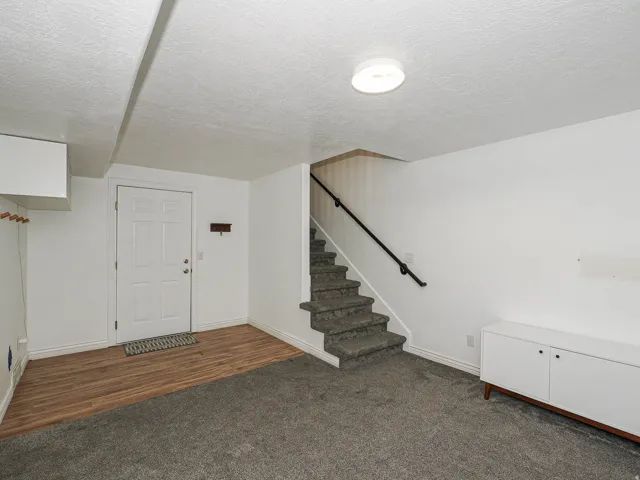Basement Family Room
