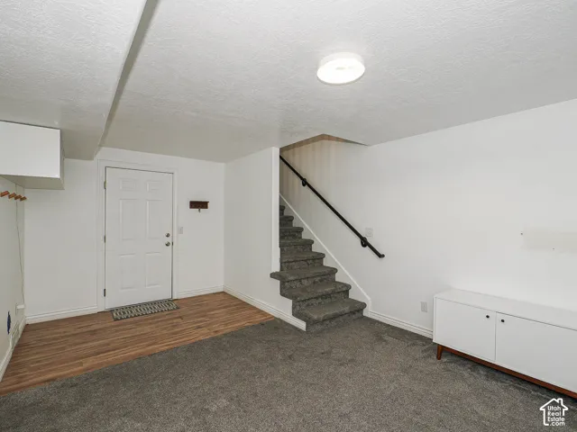 Basement Family Room