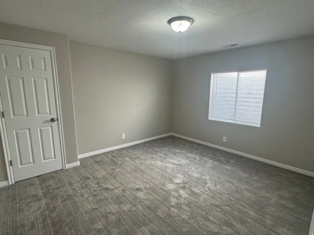 Neutral wall paint, textured carpet flooring, single window with blinds, white paneled door, and a flush mount ceiling light