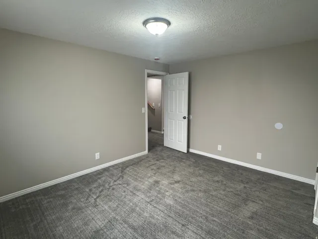 Plush gray carpeting, neutral wall color, and a ceiling-mounted light fixture