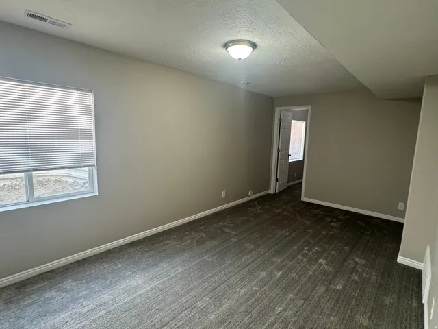 Neutral tone wall paint, textured carpet flooring, window with blinds, ceiling-mounted light fixture, and white trim