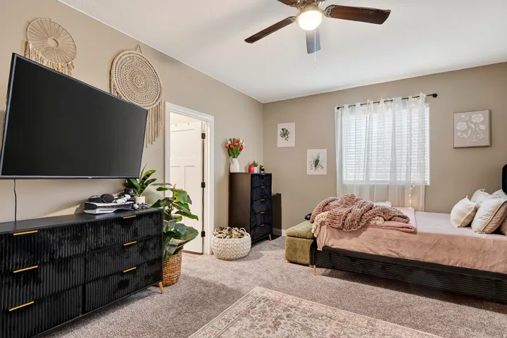 Carpeted flooring, ceiling fan, window with horizontal blinds, and a white interior door