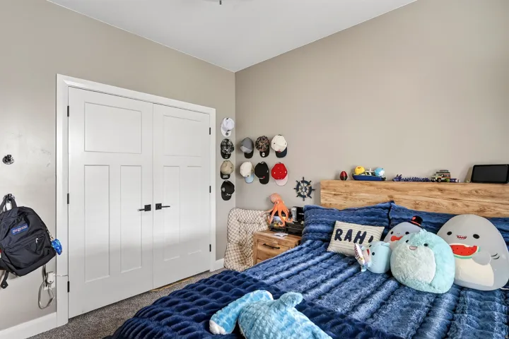 Double panel doors with black hardware, light neutral wall paint, and gray carpet