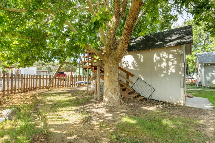 Mature shade tree anchors this spacious backyard retreat, offering natural cooling and dappled sunlight throughout the grounds