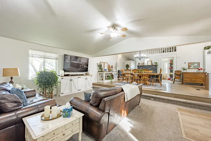 Bright, open-concept living space featuring a ceiling fan with integrated lighting, neutral wall-to-wall carpeting, and abundant natural light from multiple windows