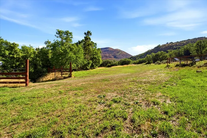 Expansive grassy terrain with a wooden fence boundary and distant mountain backdrop