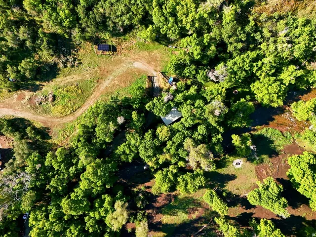 Wooded property featuring a meandering dirt path, a small structure with a dark roof, and a solar panel array