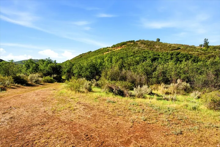 Expansive open terrain with natural vegetation and distant hills