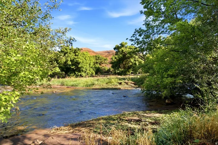 Natural water feature with surrounding mature trees and varied vegetation