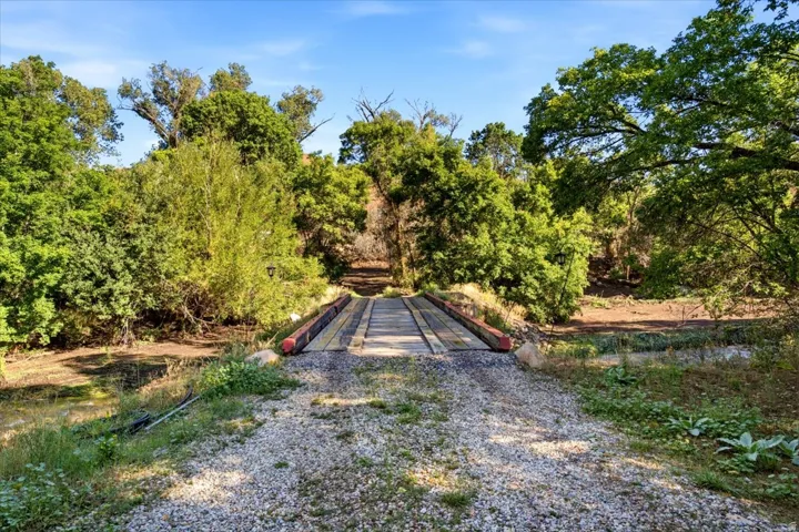 Gravel pathway leading to a wooden bridge, surrounded by mature trees and natural vegetation