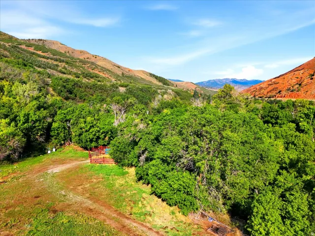 Expansive natural landscape with varied terrain and vibrant green foliage