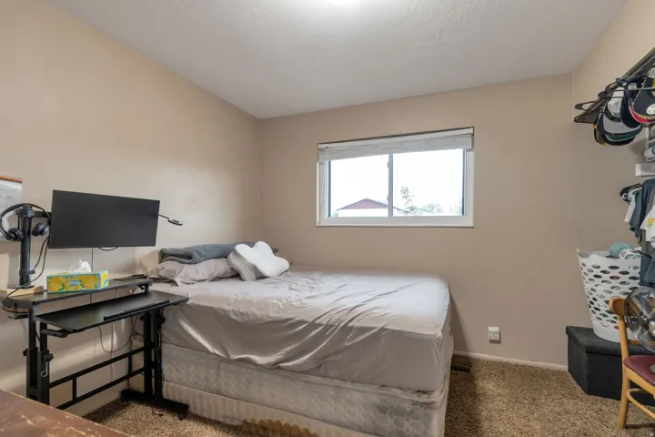 Single hung window with white frame, neutral wall paint, and textured carpet flooring