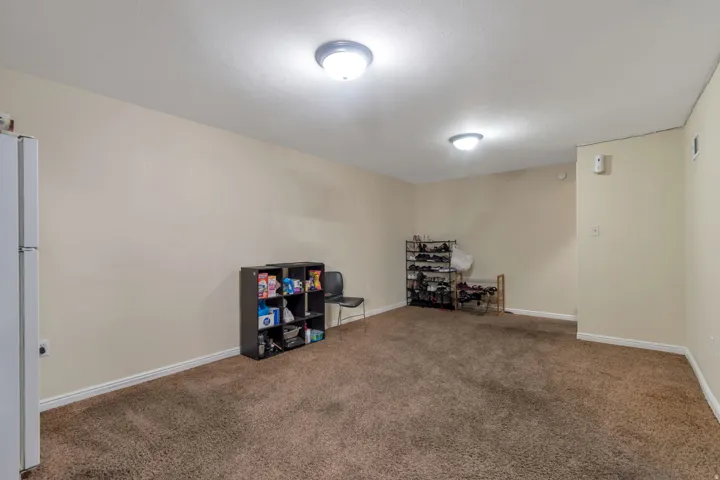Expansive room featuring neutral wall tones, brown carpeting, and flush-mount ceiling lighting