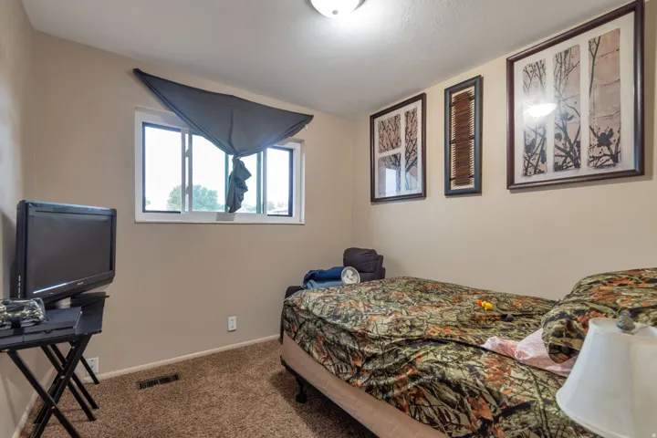 Neutral wall color, window with white trim, ceiling-mounted light fixture, and textured carpet flooring