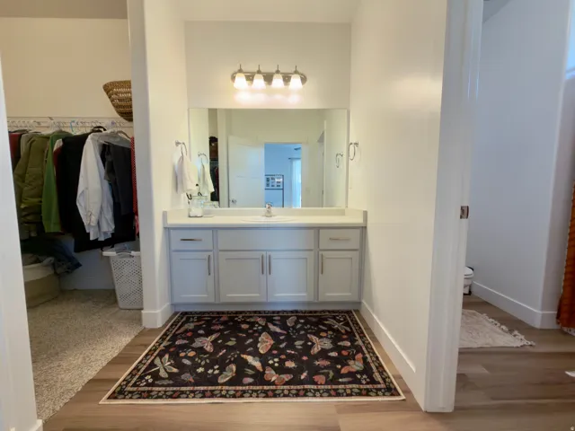 Primary large bathroom & closet areas