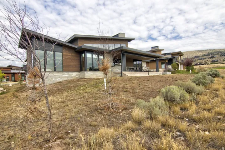 Modern architectural design with a dark panel roof and wood-tone siding