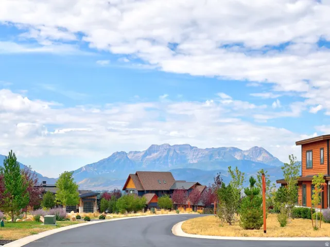 Mountain backdrop, paved road, contemporary homes, landscaped grounds, mature trees
