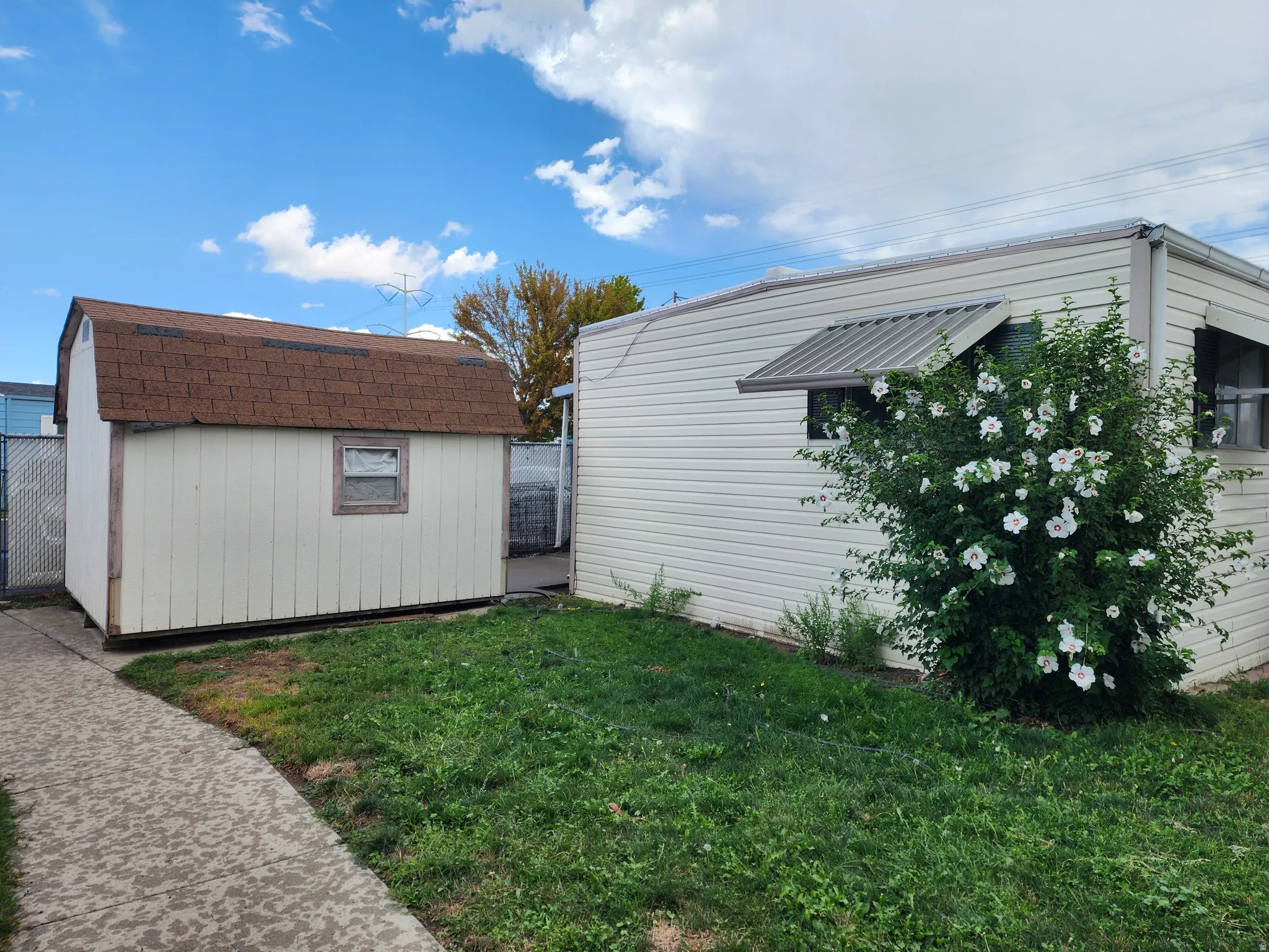 Detached shed with shingle roofing, white siding, and a window