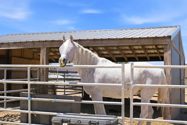 285 E Cimmarron Way, Erda, Utah 84074
