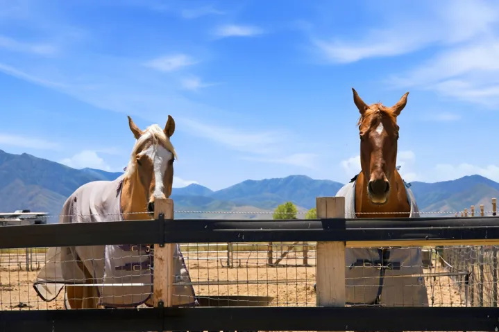 285 E Cimmarron Way, Erda, Utah 84074