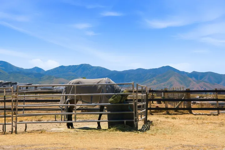 285 E Cimmarron Way, Erda, Utah 84074