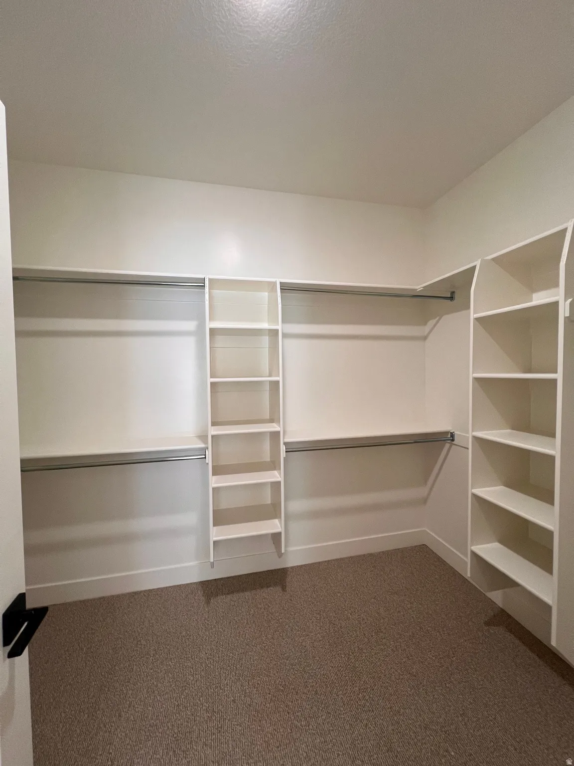 Built-in shelving, hanging rods, and carpeted flooring