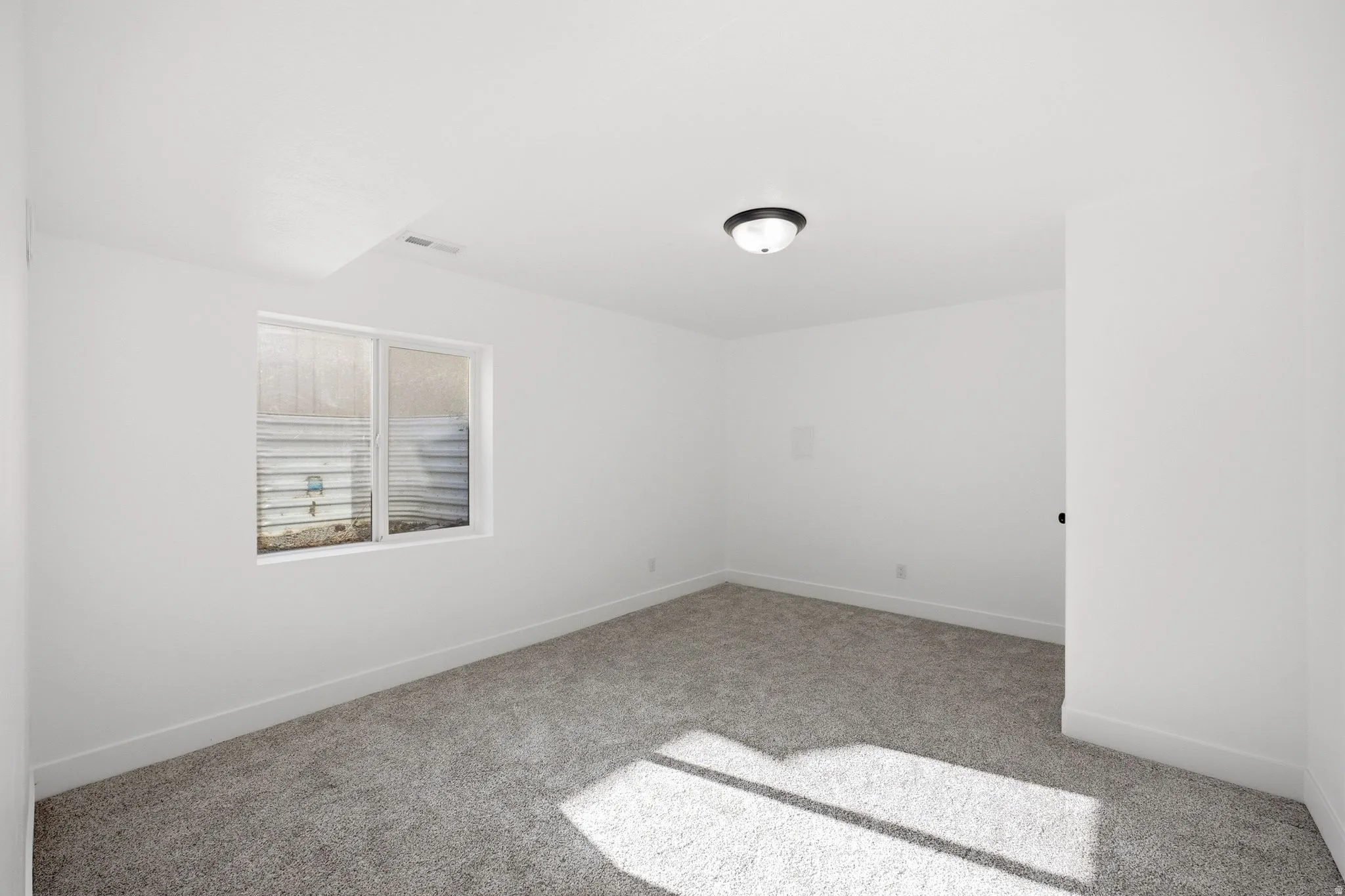 Neutral wall paint, plush carpeting, ceiling-mounted light fixture, and a window with a light well