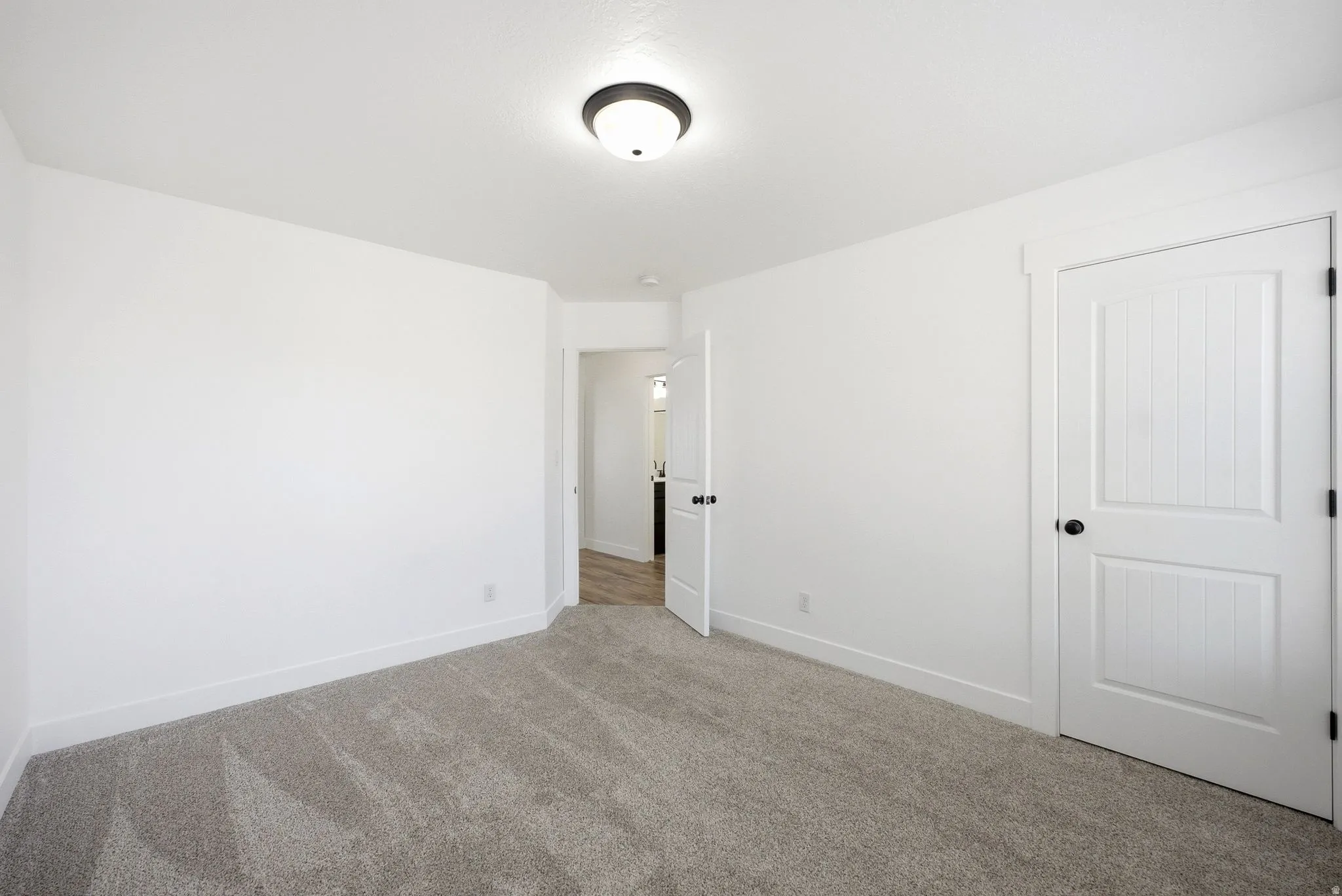 Neutral wall tones, gray carpeting, and a flush-mount ceiling light fixture