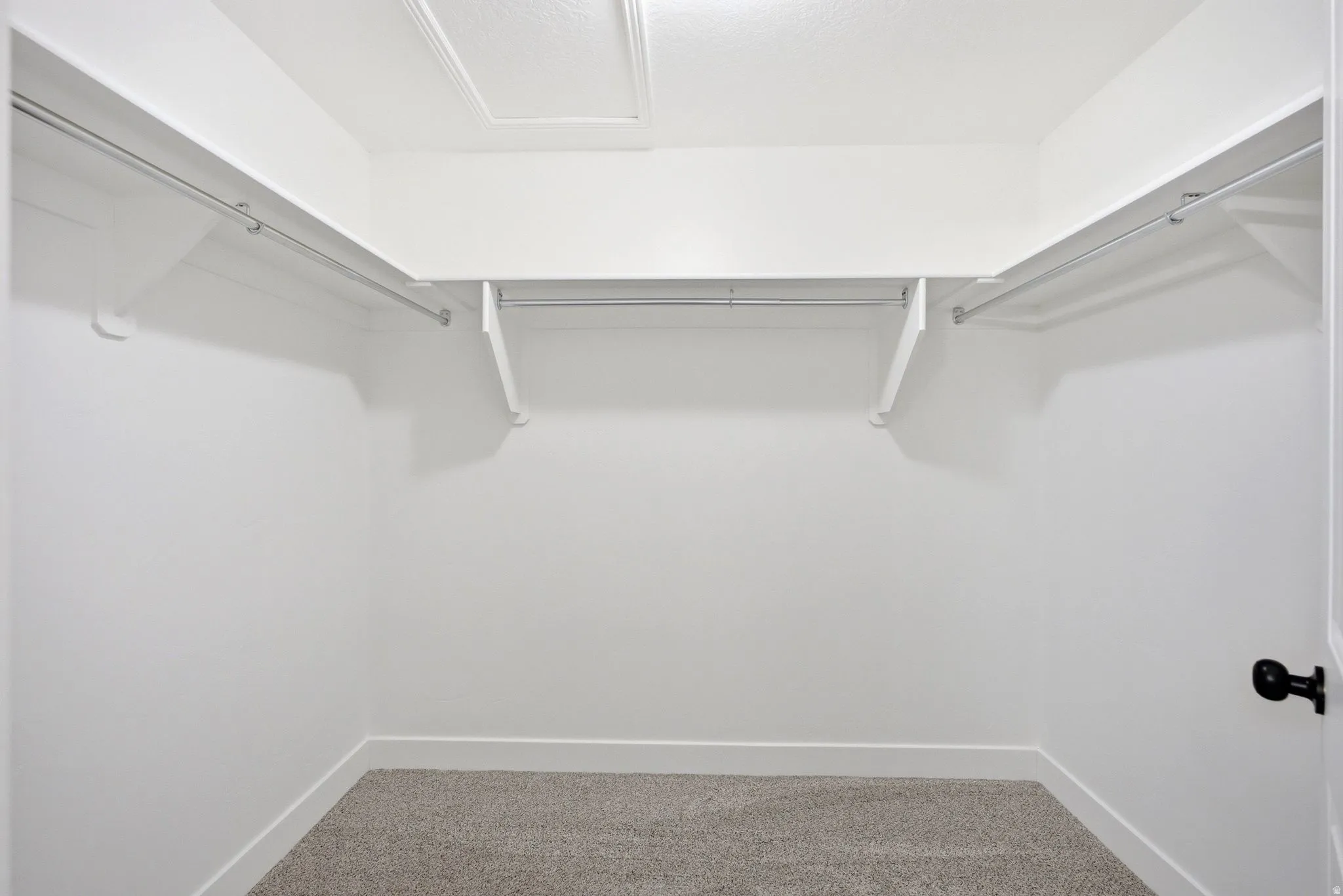Carpeted closet with white walls, upper shelving, and clothing rods