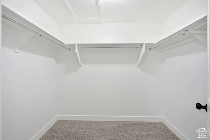 Carpeted closet with white walls, upper shelving, and clothing rods