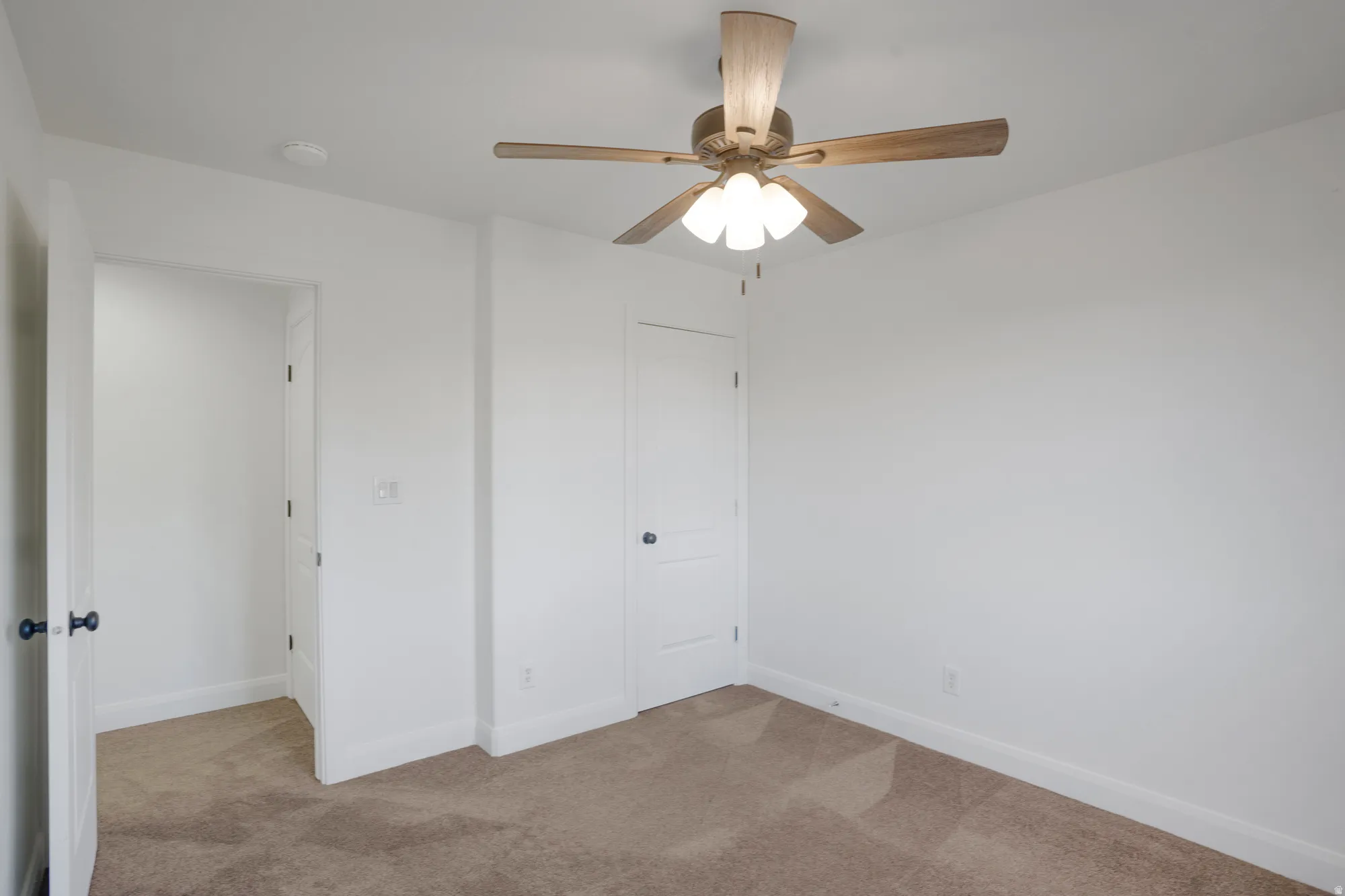 Neutral toned carpeted flooring complemented by a ceiling fan with integrated lighting