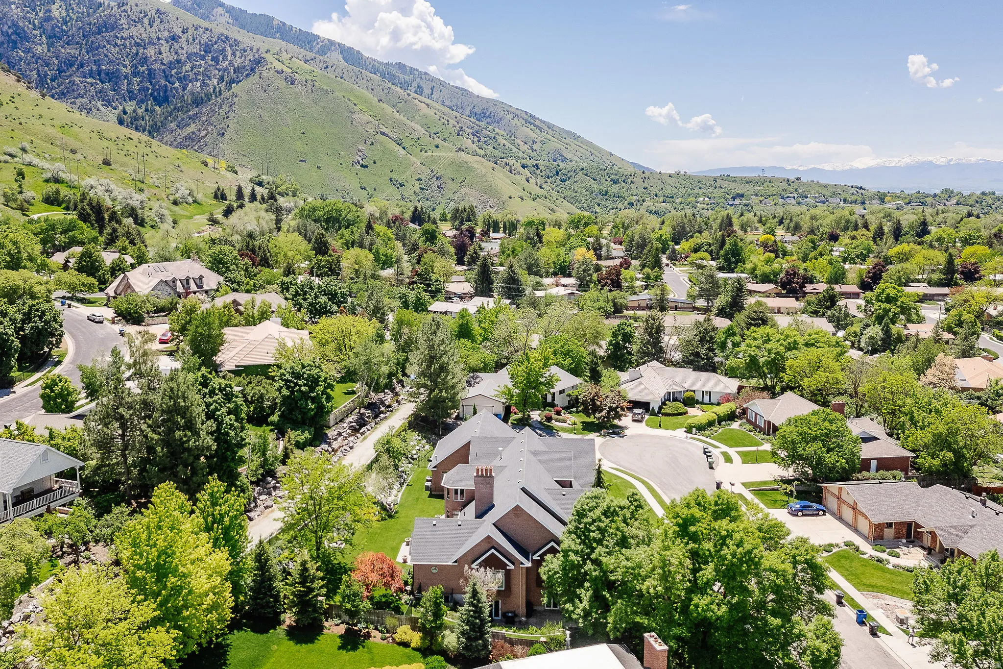 Expansive neighborhood setting with mature trees and mountain scenery