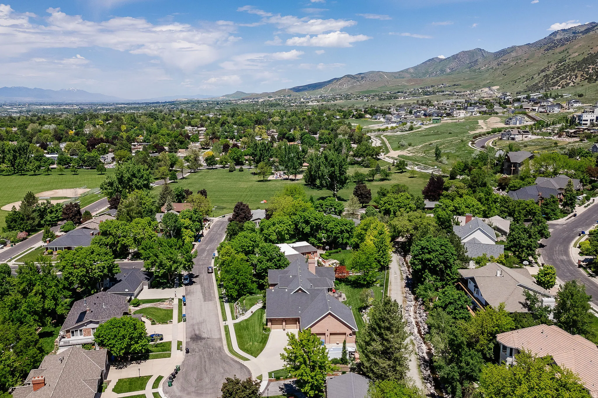 Residential area with mature trees and a distant mountain backdrop