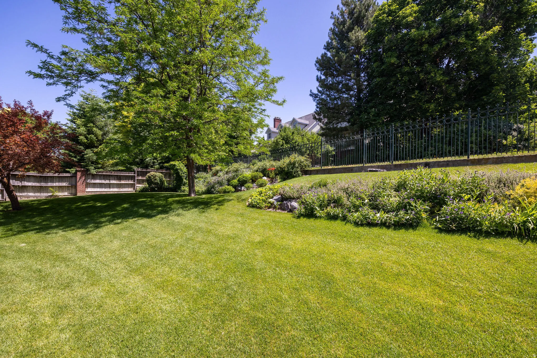 Expansive lawn area with mature trees, a wood privacy fence, and a decorative black metal fence