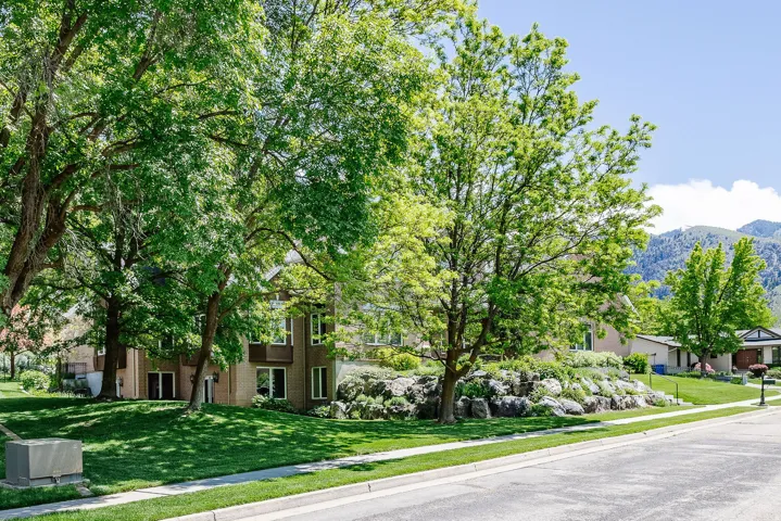 Mature trees providing ample shade, expansive green lawn, multi-level dwelling with multiple windows, and a paved street