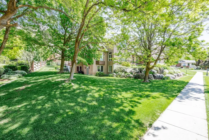Expansive green lawn with mature trees, a paved walkway, and a tiered rock garden with plantings