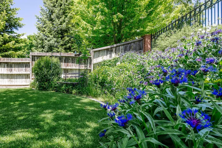 Expansive green lawn bordered by a wood fence, mature trees, vibrant blue floral landscaping, and a decorative metal arbor