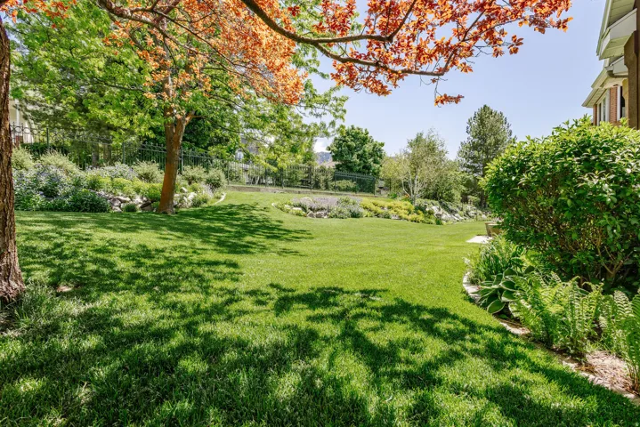 Expansive lawn area with mature trees and established landscaping beds