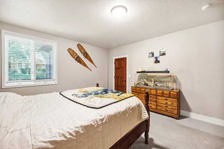 White framed window with blinds, wood-paneled door, and neutral-toned carpeting