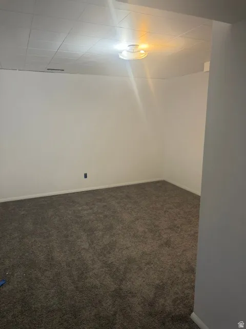 Plush carpeting and crisp white walls with a drop ceiling featuring an overhead light fixture