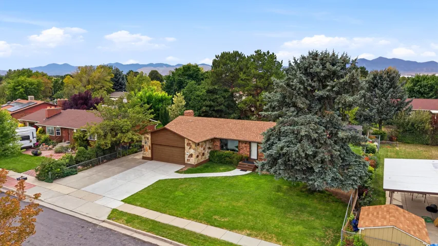 Brick ranch home featuring a professionally landscaped front yard with mature trees, manicured lawn, and extended concrete driveway