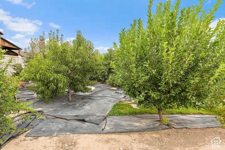 1879 E Tickville Cir, Eagle Mountain, Utah 84005