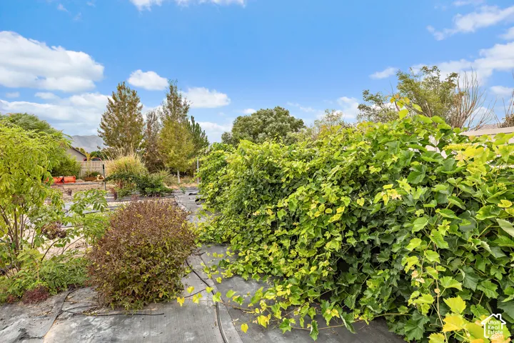 1879 E Tickville Cir, Eagle Mountain, Utah 84005