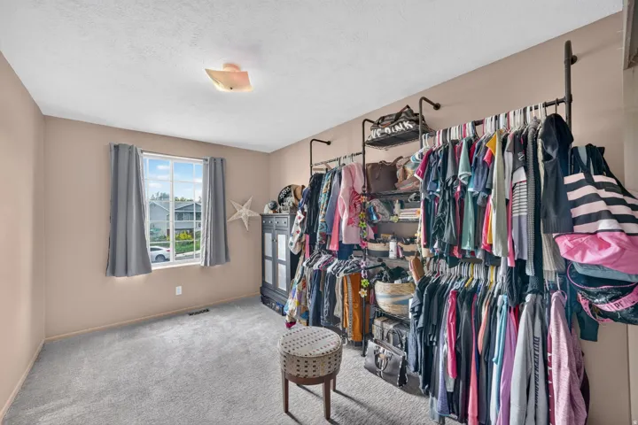 Wall-mounted clothing racks, built-in shelving, carpet flooring, window with curtains, and a ceiling light fixture