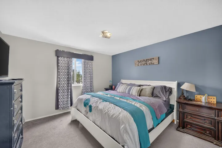 Plush carpet flooring, a single window, and a ceiling-mounted light fixture