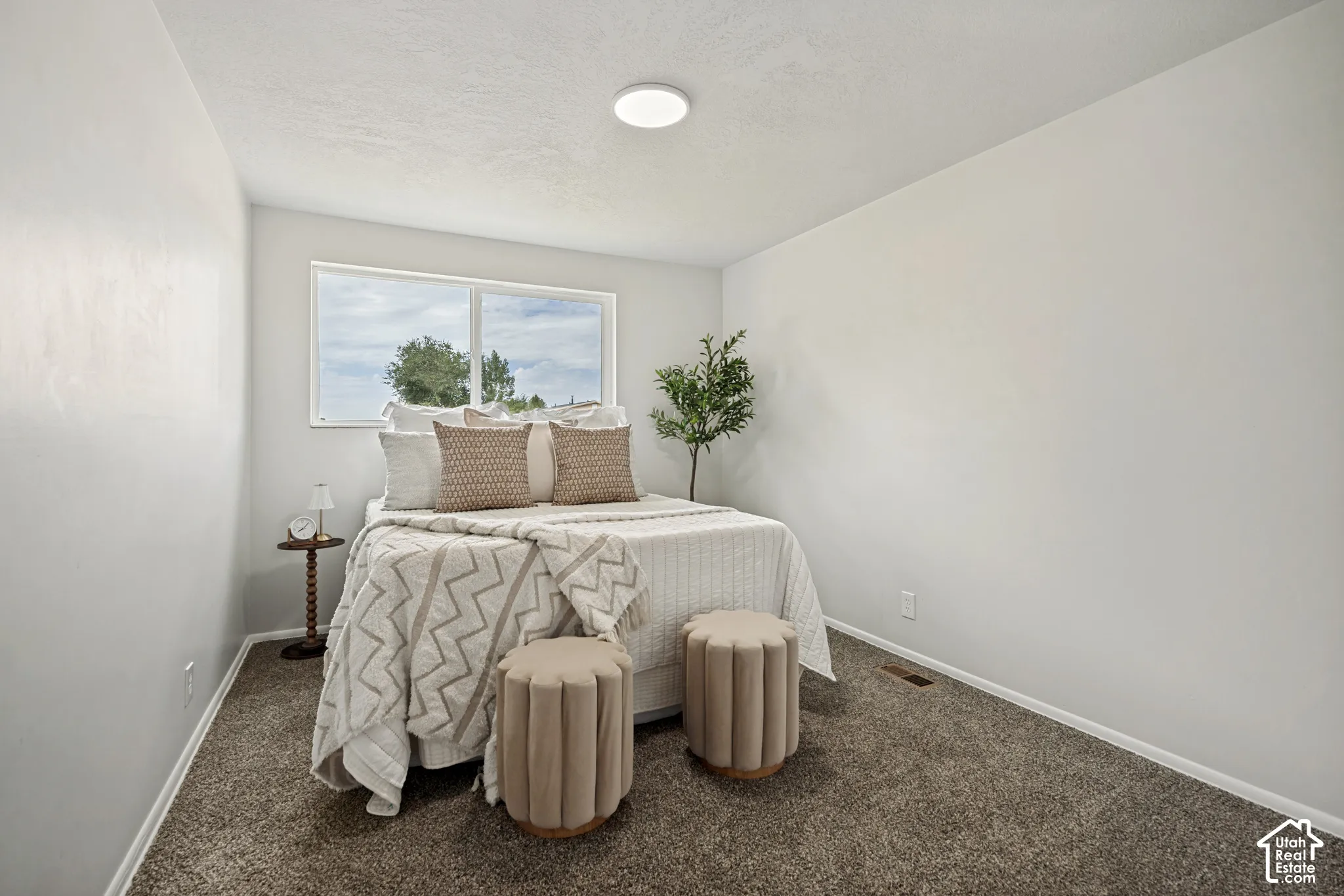 Recessed lighting fixture, dual-pane window, wall-to-wall carpeting, and neutral paint palette